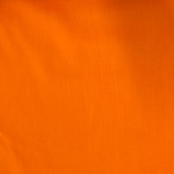 3119 Smoothie Color Orange