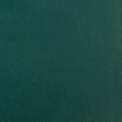 Snuggle Flannel Color Forest